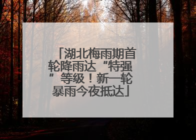 湖北梅雨期首轮降雨达“特强”等级！新一轮暴雨今夜抵达